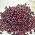 High quality small round red bean